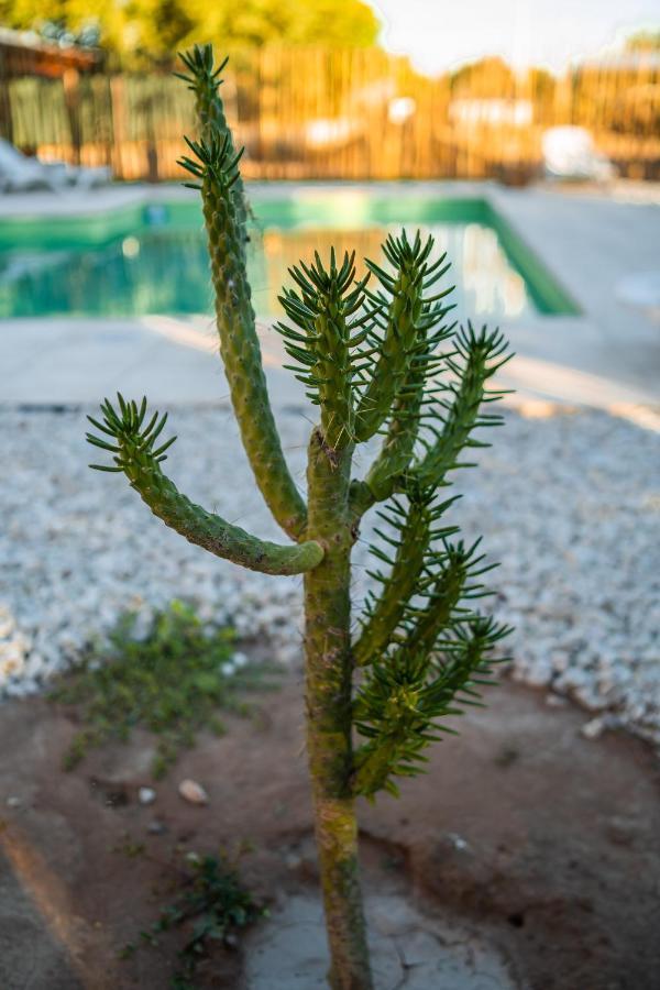Las Salinas Gran Hotel San Jose de Las Salinas Экстерьер фото